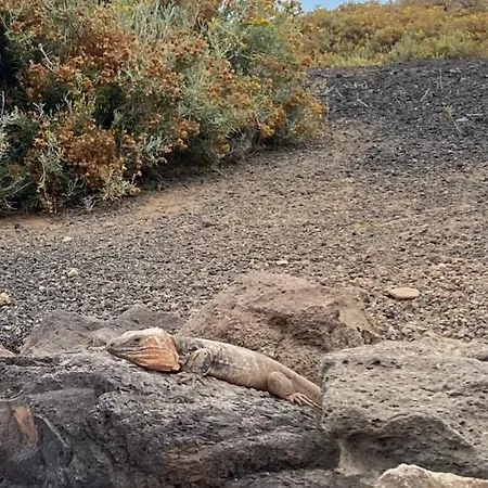 Numancia1-4b Atico5b